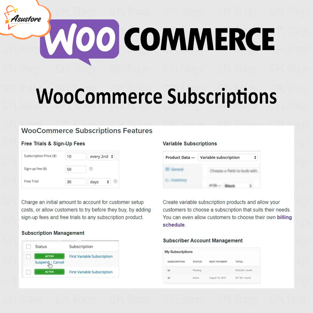 WooCommerce-Subscriptions-6.3.2.png